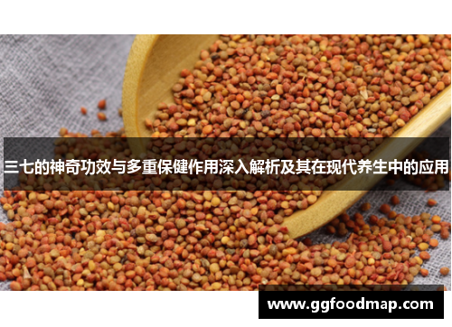 三七的神奇功效与多重保健作用深入解析及其在现代养生中的应用