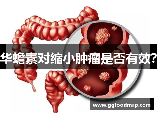 华蟾素对缩小肿瘤是否有效？