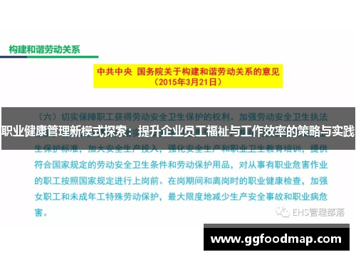职业健康管理新模式探索：提升企业员工福祉与工作效率的策略与实践