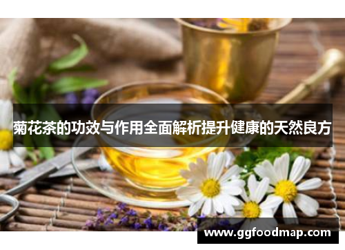 菊花茶的功效与作用全面解析提升健康的天然良方