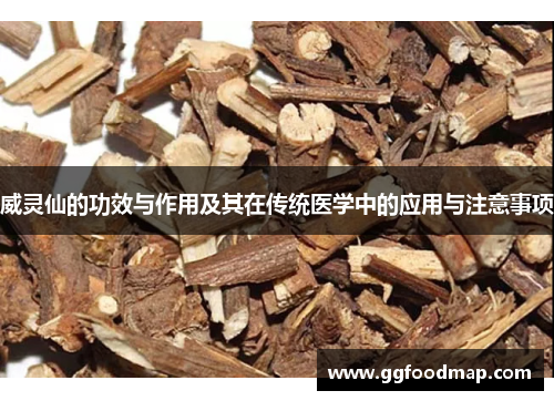 威灵仙的功效与作用及其在传统医学中的应用与注意事项