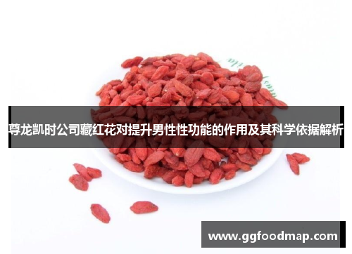 尊龙凯时公司藏红花对提升男性性功能的作用及其科学依据解析