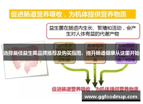 选择最佳益生菌品牌推荐及购买指南，提升肠道健康从这里开始