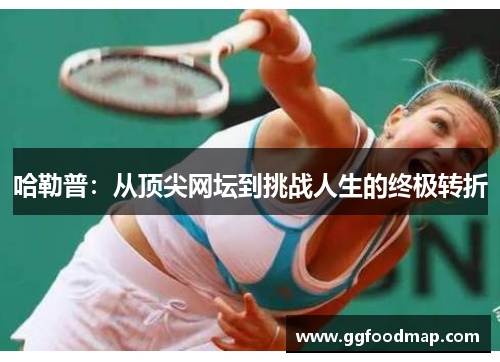 哈勒普：从顶尖网坛到挑战人生的终极转折